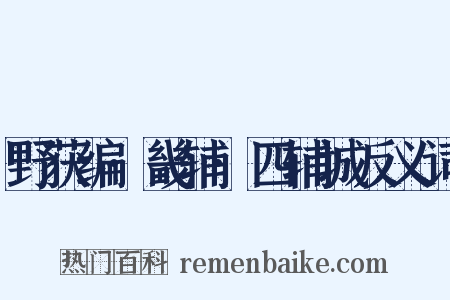 野获编·畿辅·四辅城反义词是什么意思的图片